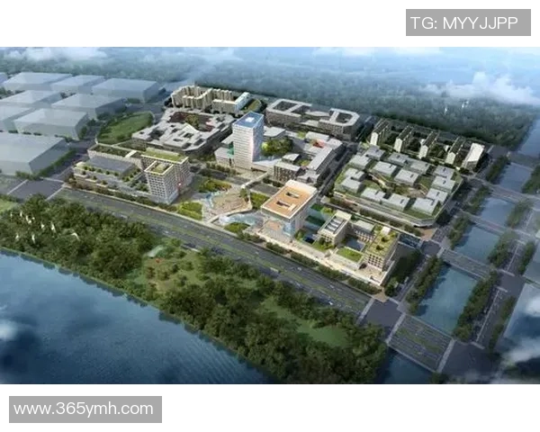 上海青岛对决谁能在城市发展中胜出探讨两座城市的未来潜力与机遇